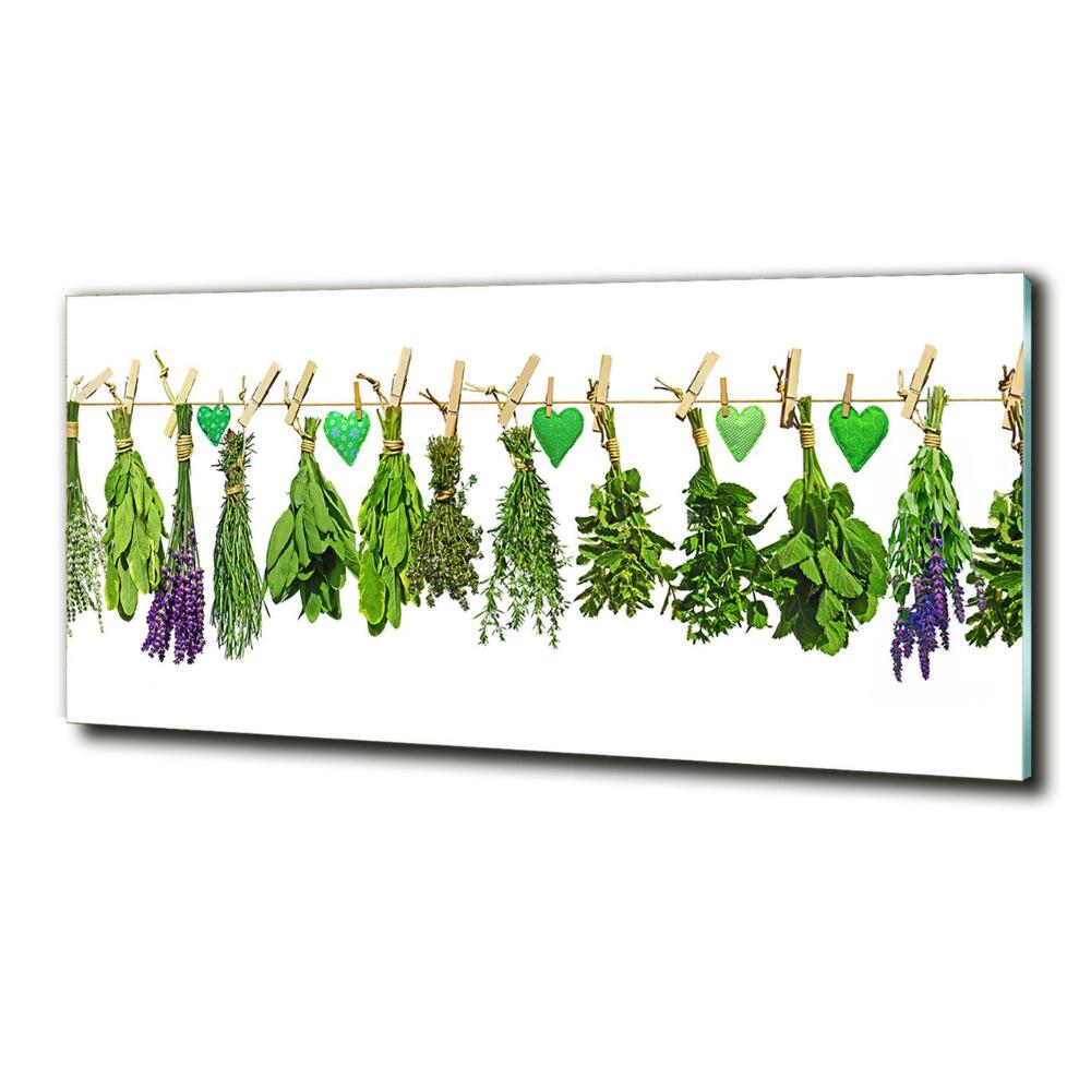 Tableau sur verre Herbes sur un fil