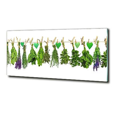 Tableau sur verre Herbes sur un fil