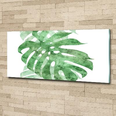 Tableau imprimé sur verre Monstera