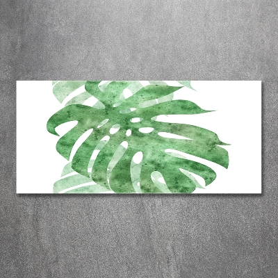 Tableau imprimé sur verre Monstera