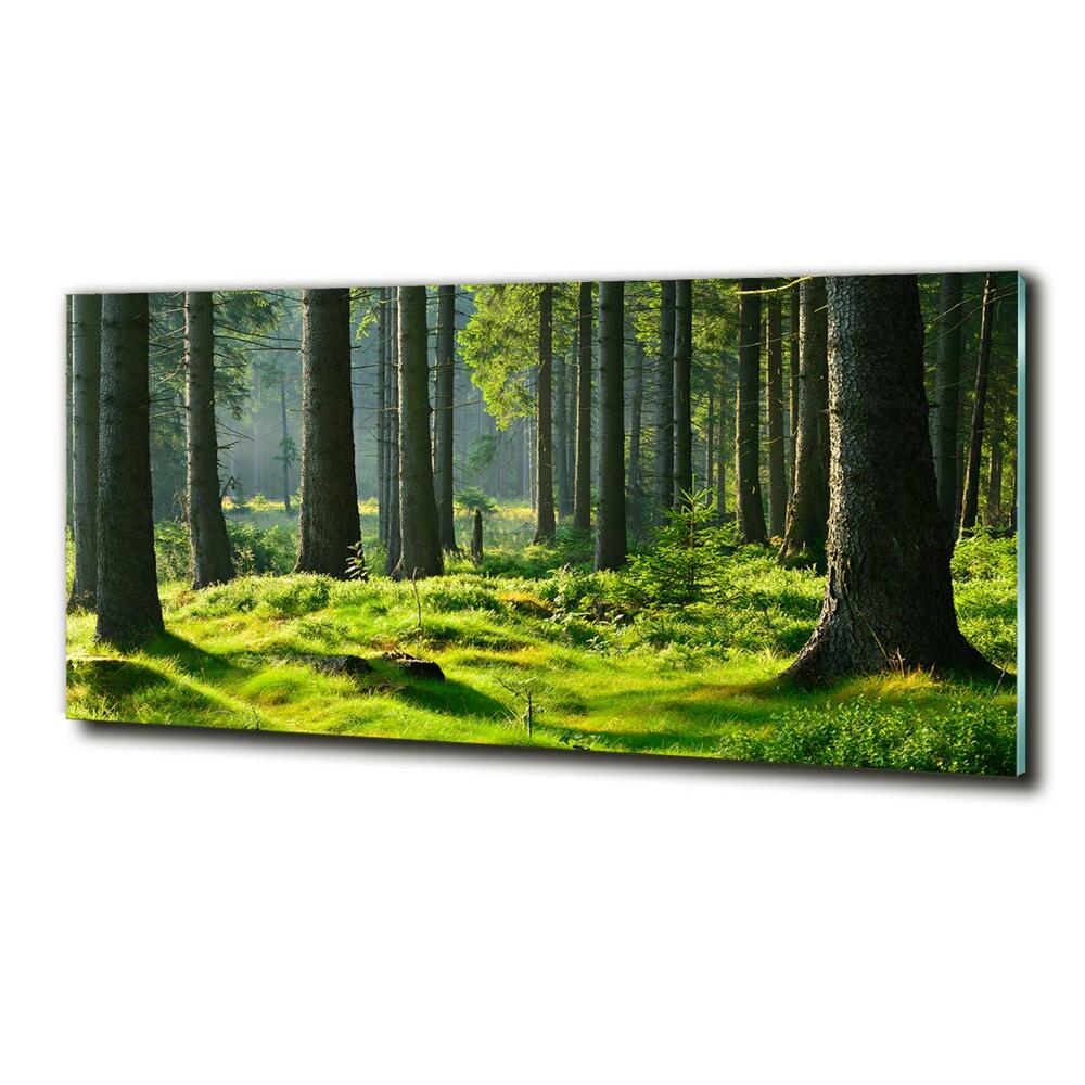 Tableau sur verre Forêt d'épicéas