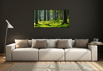 Tableau sur verre Forêt d'épicéas