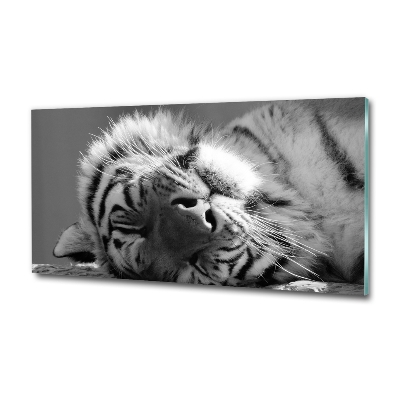 Tableau sur verre Tigre endormi