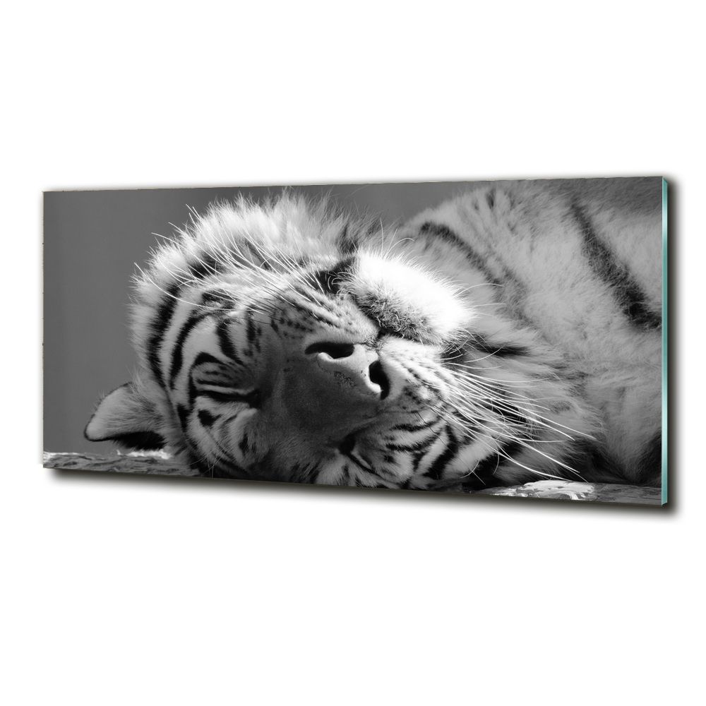 Tableau sur verre Tigre endormi