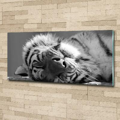 Tableau sur verre Tigre endormi