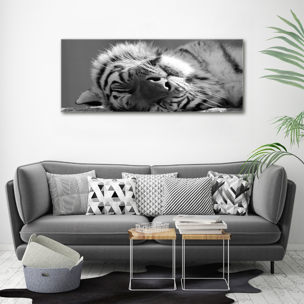 Tableau sur verre Tigre endormi