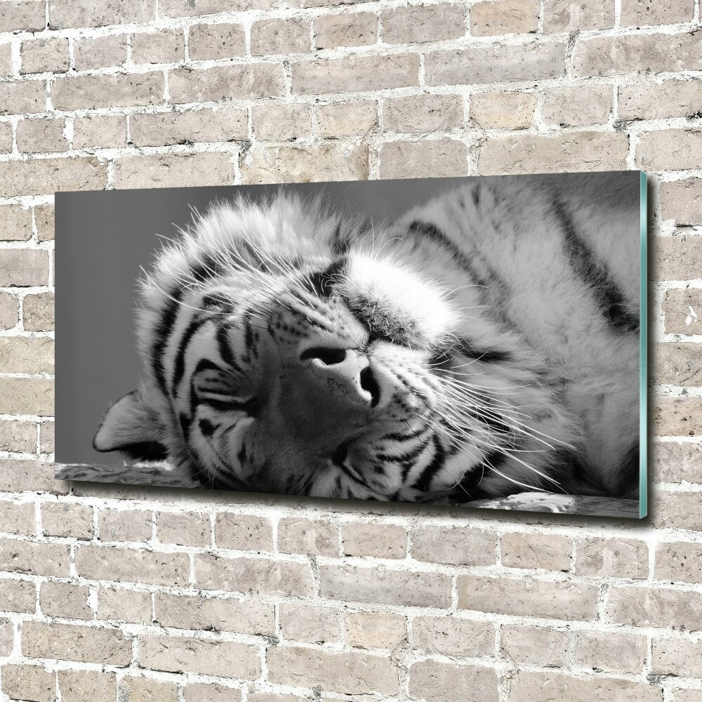 Tableau sur verre Tigre endormi