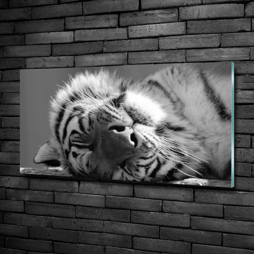 Tableau sur verre Tigre endormi