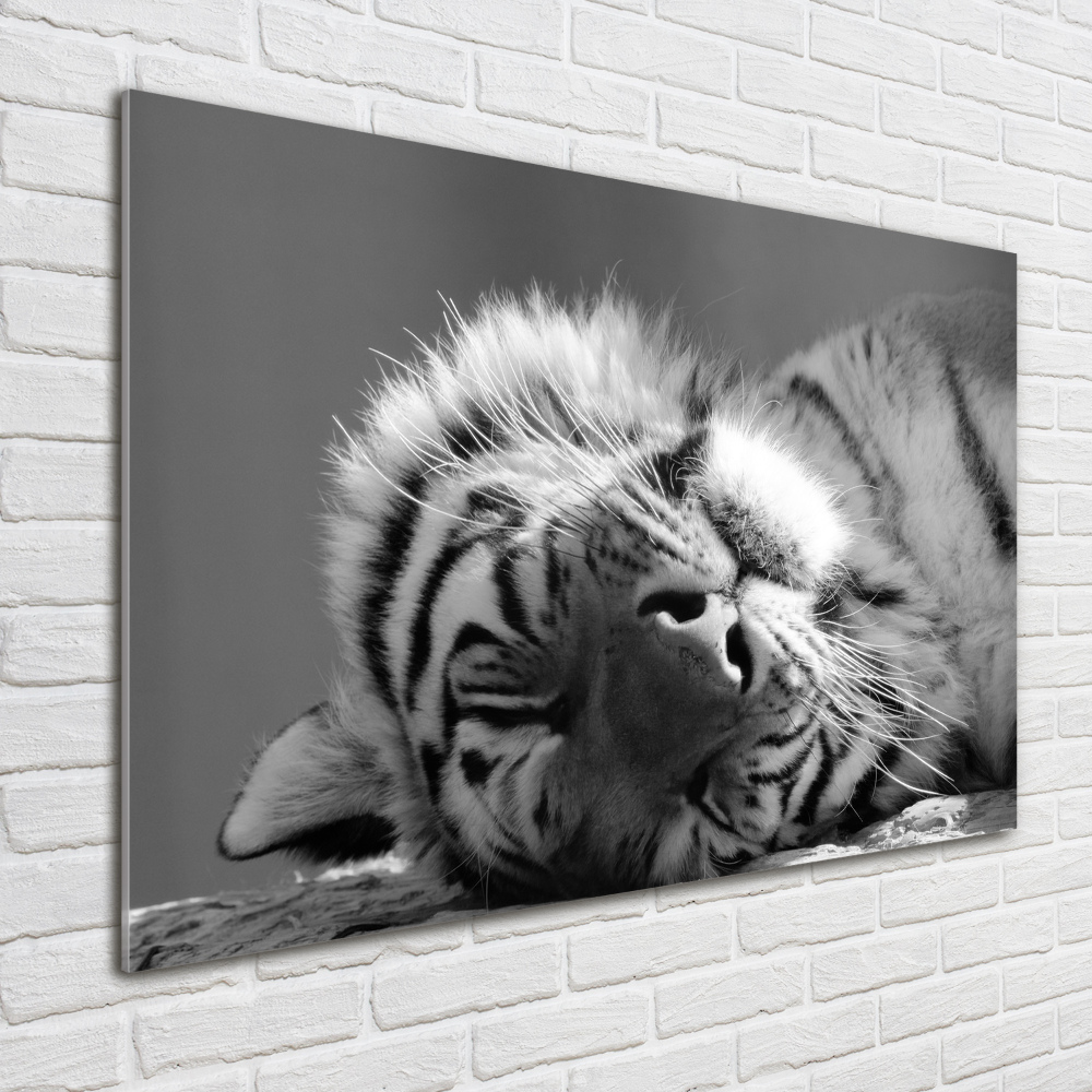 Tableau sur verre Tigre endormi