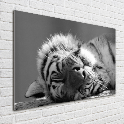 Tableau sur verre Tigre endormi