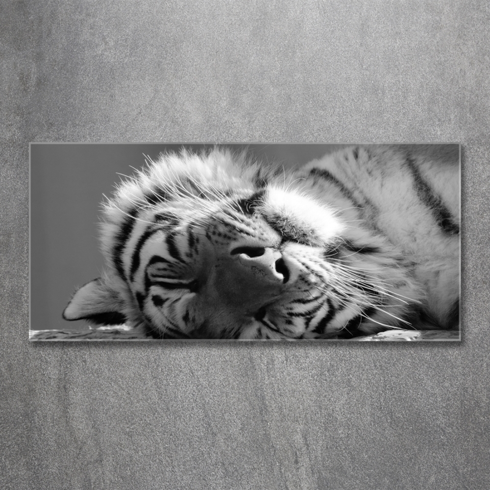 Tableau sur verre Tigre endormi