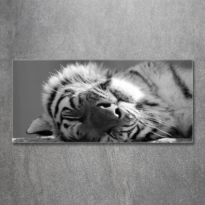 Tableau sur verre Tigre endormi