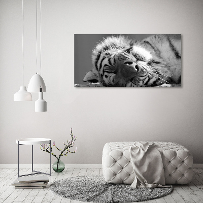 Tableau sur verre Tigre endormi