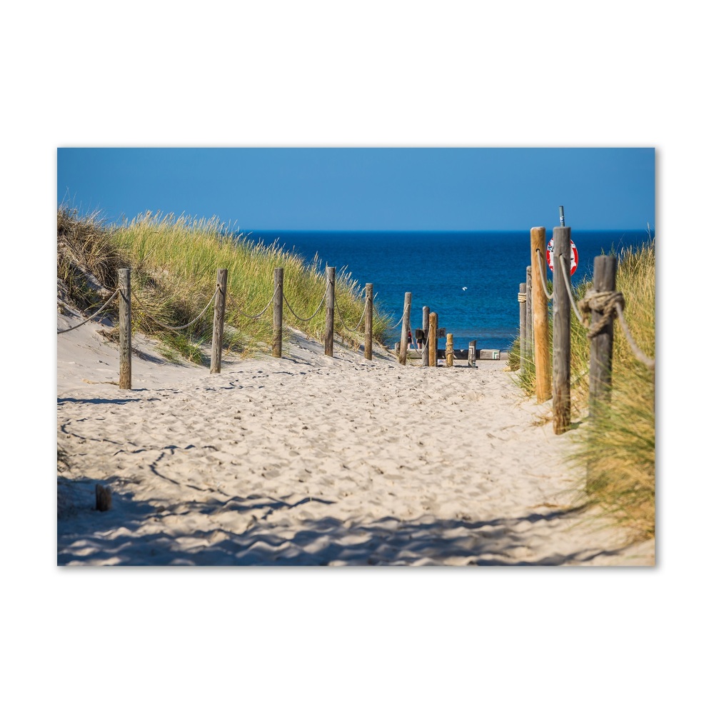 Tableau photo sur verre Les dunes de mer