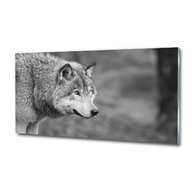 Tableau sur verre Loup gris