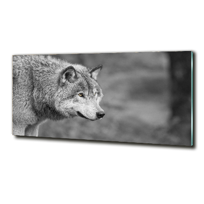 Tableau sur verre Loup gris