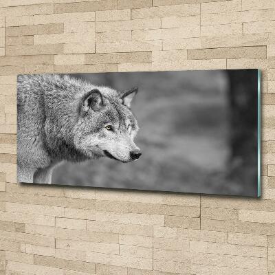 Tableau sur verre Loup gris