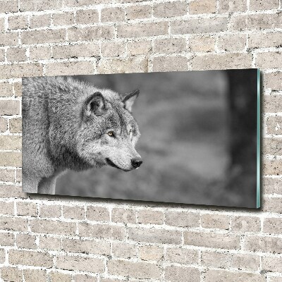 Tableau sur verre Loup gris