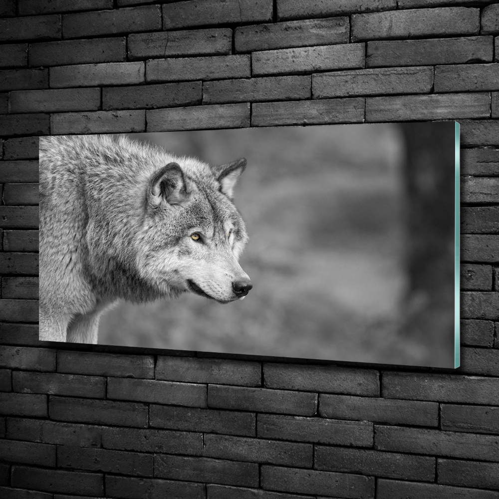 Tableau sur verre Loup gris