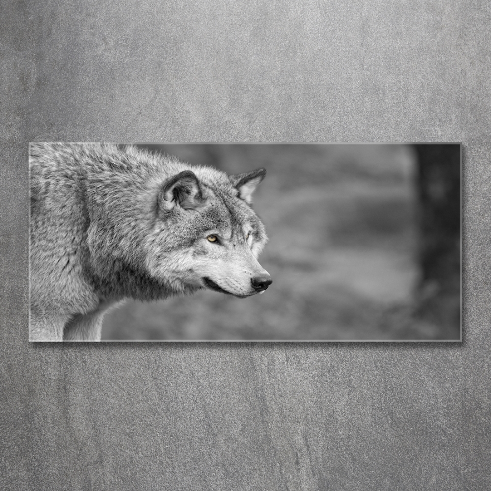 Tableau sur verre Loup gris