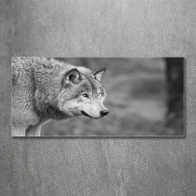 Tableau sur verre Loup gris