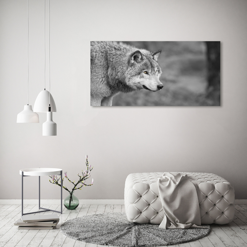 Tableau sur verre Loup gris