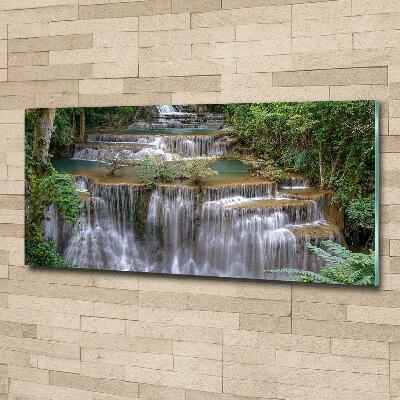 Tableau imprimé sur verre Cascade dans la forêt