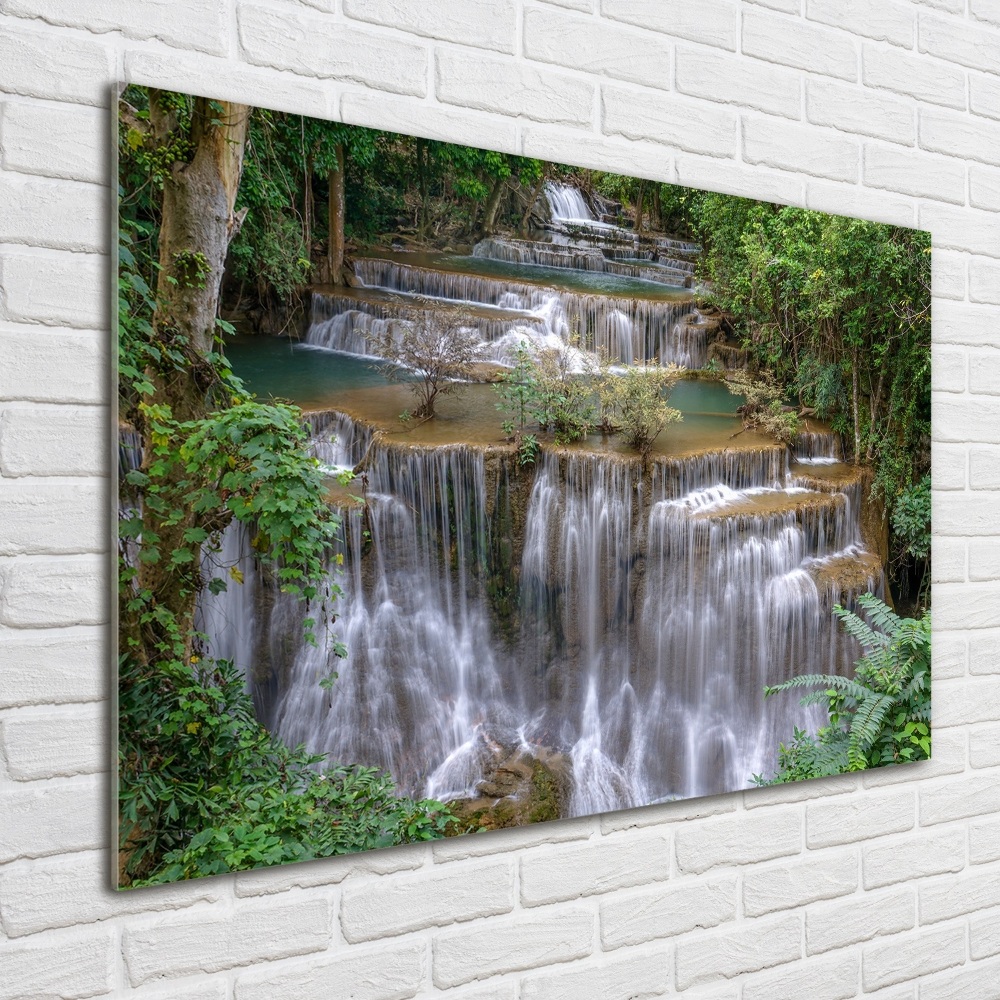 Tableau imprimé sur verre Cascade dans la forêt