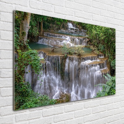 Tableau imprimé sur verre Cascade dans la forêt