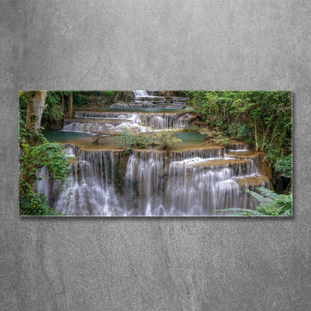 Tableau imprimé sur verre Cascade dans la forêt