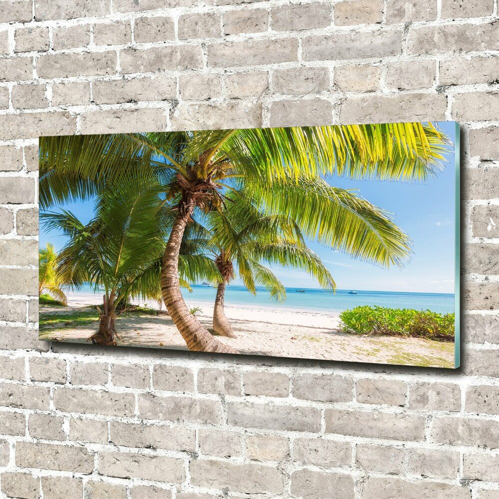 Tableau sur verre Plage tropicale