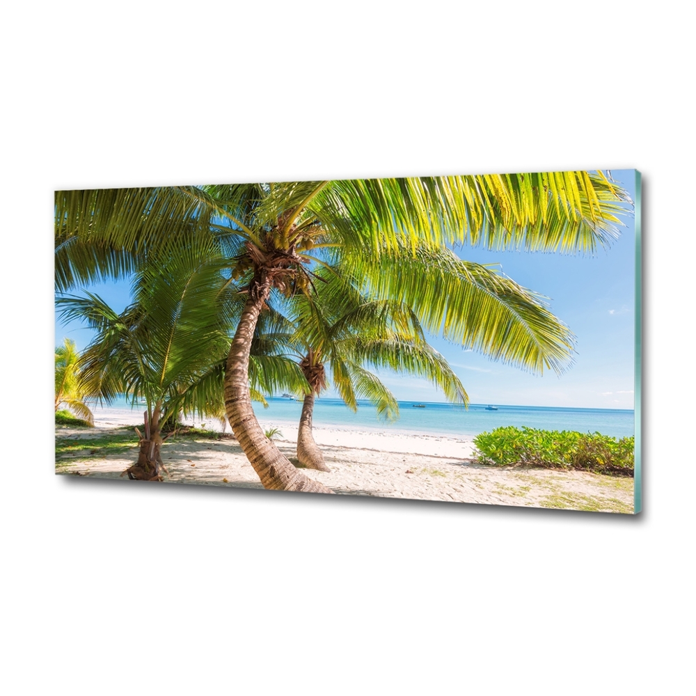 Tableau sur verre Plage tropicale