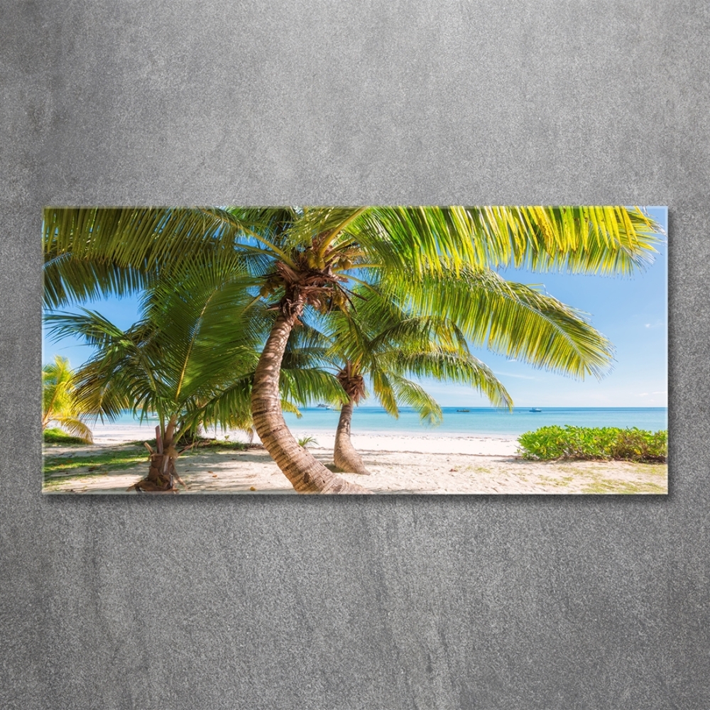 Tableau sur verre Plage tropicale