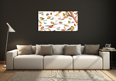 Tableau verre imprimé Oiseaux et papillons