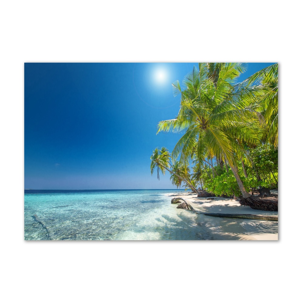 Tableau photo sur verre Plage des Maldives