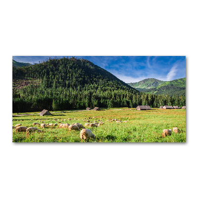 Tableau verre imprimé Mouton dans les Tatras