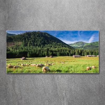 Tableau verre imprimé Mouton dans les Tatras