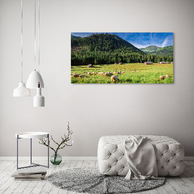 Tableau verre imprimé Mouton dans les Tatras