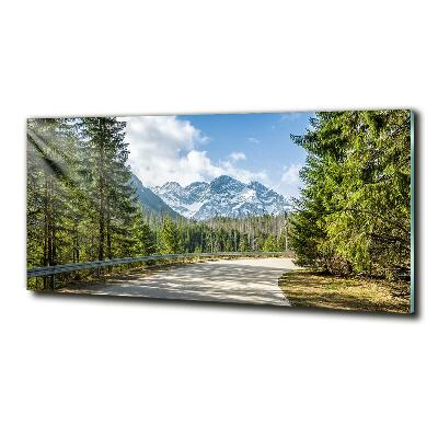 Tableau photo sur verre Route des Tatras