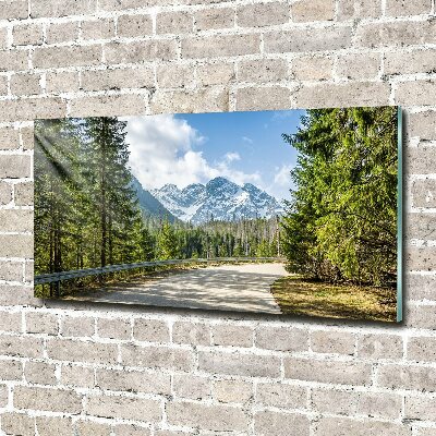 Tableau photo sur verre Route des Tatras