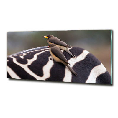 Tableau sur verre Oiseaux et zèbres