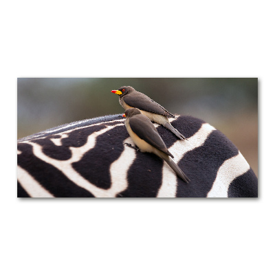 Tableau sur verre Oiseaux et zèbres