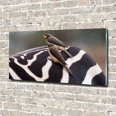 Tableau sur verre Oiseaux et zèbres