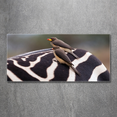 Tableau sur verre Oiseaux et zèbres