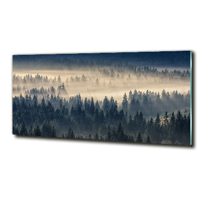 Tableau imprimé sur verre Brouillard sur la forêt