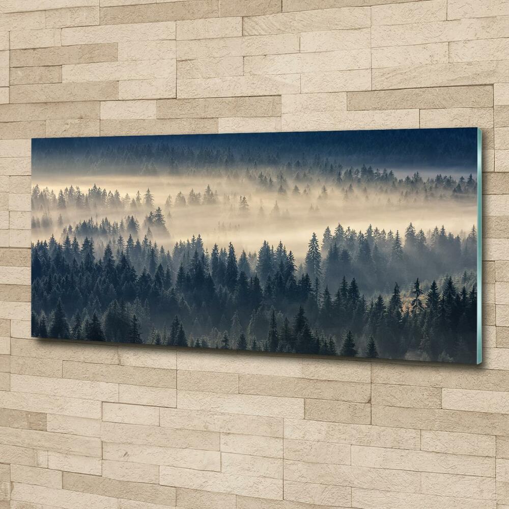 Tableau imprimé sur verre Brouillard sur la forêt