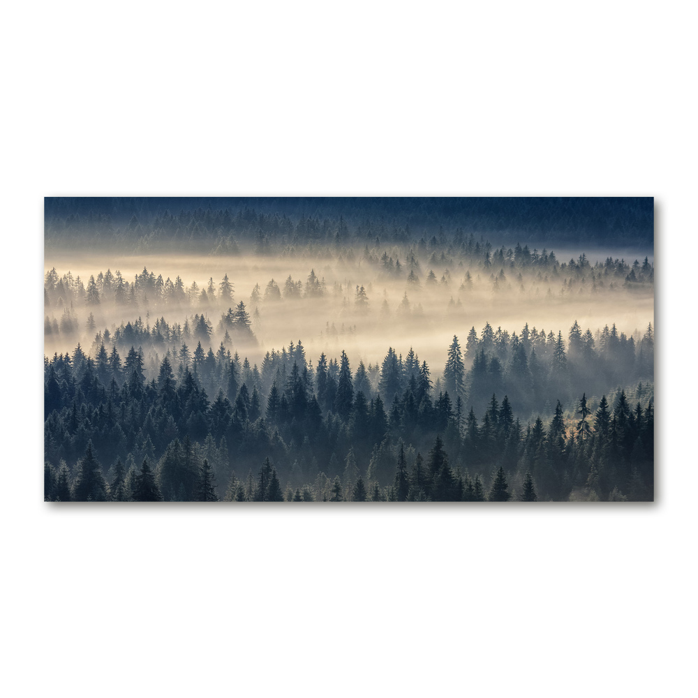 Tableau imprimé sur verre Brouillard sur la forêt