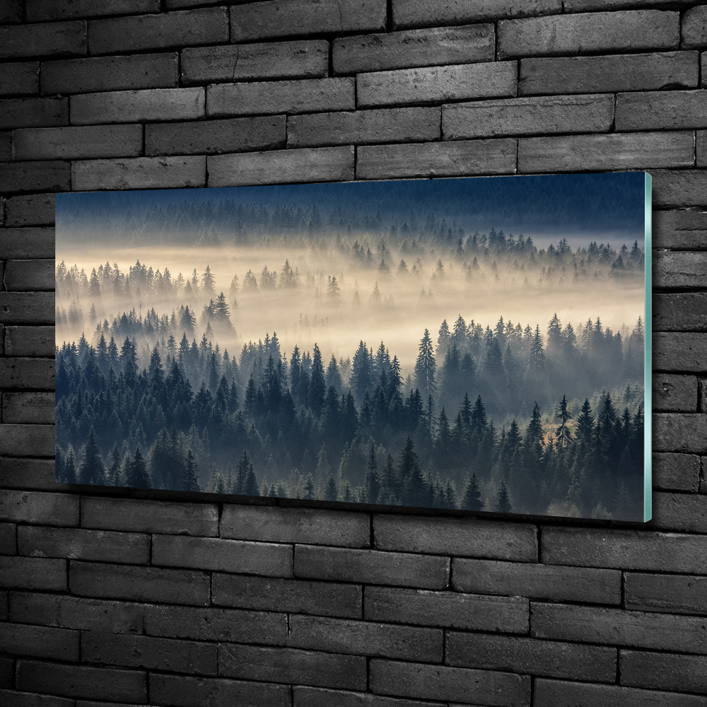 Tableau imprimé sur verre Brouillard sur la forêt