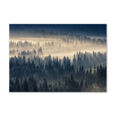 Tableau imprimé sur verre Brouillard sur la forêt