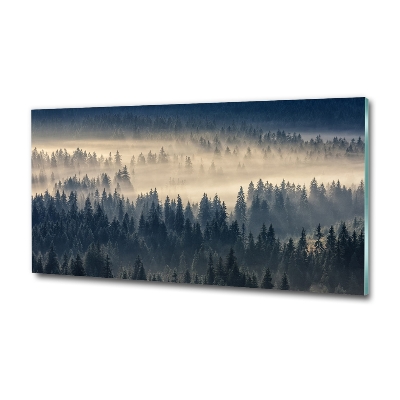 Tableau imprimé sur verre Brouillard sur la forêt